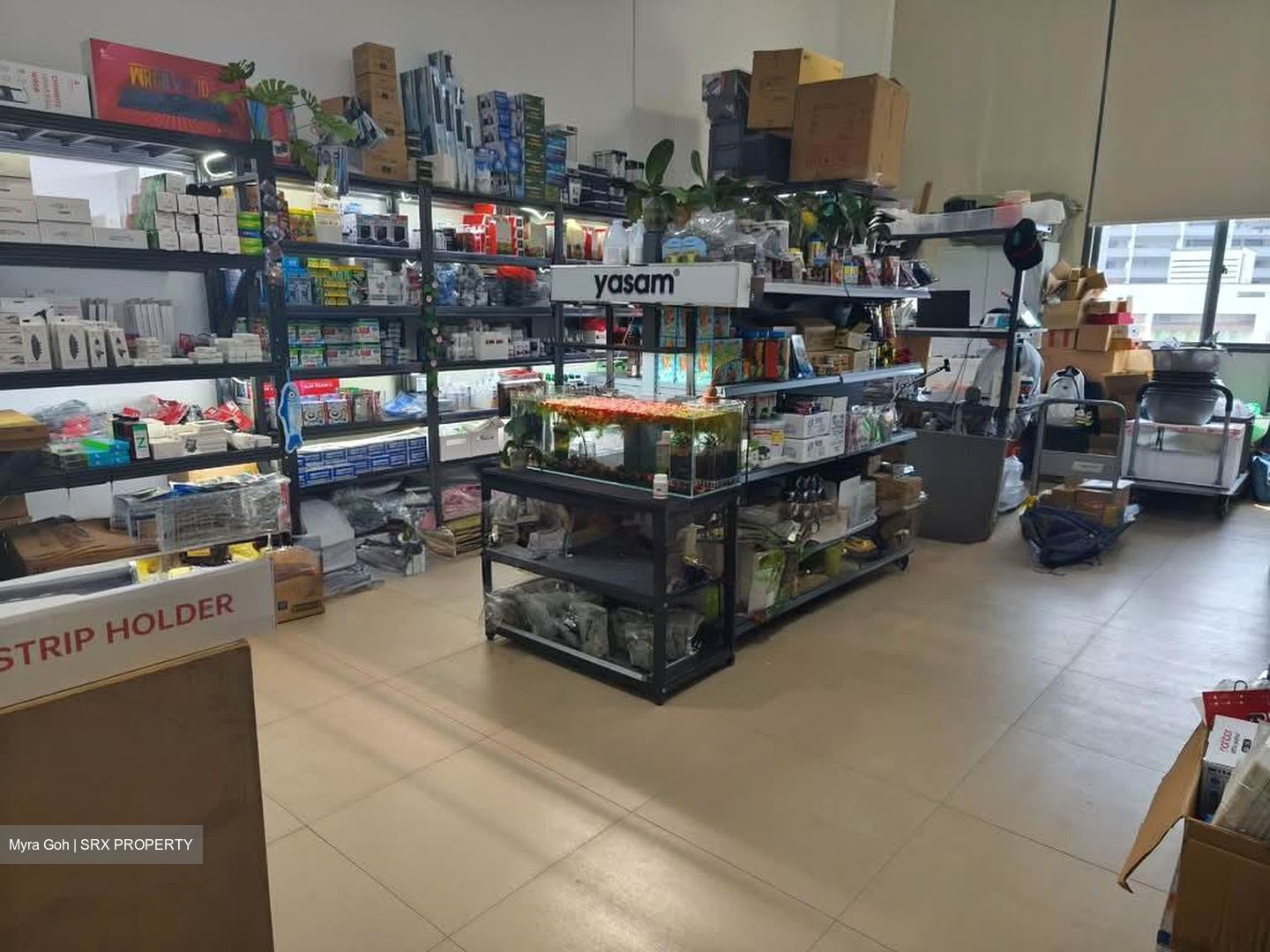 Centropod @ Changi (D14), Shop House #583274681